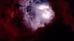 Задник к фильму "Древо жизни" #266179