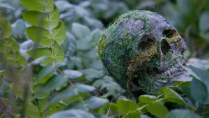 Задник к фильму "Перерожденные" #606215