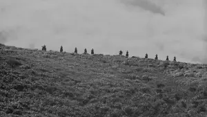 Задник к фильму "Семь Самураев" #605743