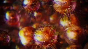 Задник к фильму "Аннигиляция" #618562