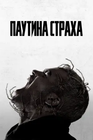 Постер к фильму "Паутина страха" #463377