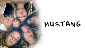 Задник к фильму "Мустанг" #187317