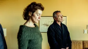 Задник к фильму "Дикие истории" #184153