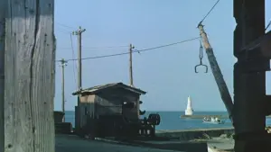 Задник к фильму "Плавучие травы" #449672