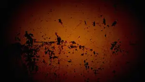 Задник к фильму "Банда «Белый фиат»" #718875