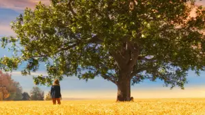 Задник к фильму "Милые кости" #654254