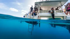 Задник к фильму "En immersion avec Alice Belaïdi" #777968