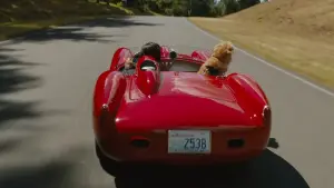 Задник к фильму "Невероятный мир глазами Энцо" #175809