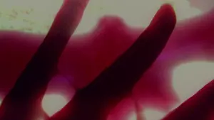 Задник к фильму "Человек-мотылек" #299044