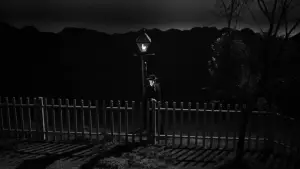 Задник к фильму "Ночь охотника" #675788