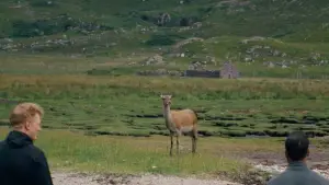 Задник к фильму "Север" #673866