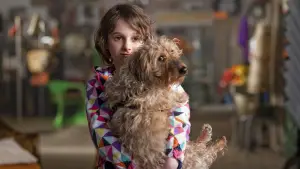 Задник к фильму "Шансы большие и маленькие" #707591