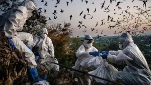 Задник к фильму "" #538359