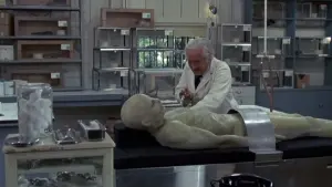 Задник к фильму "Ссссссс" #394973