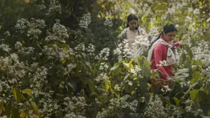 Задник к фильму "" #699346