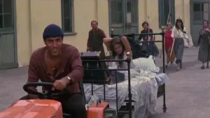 Задник к фильму "Укрощение строптивого" #238033