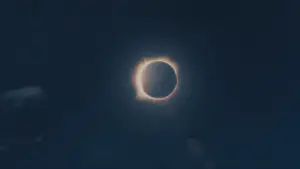 Задник к фильму "Апокалипсис" #579785