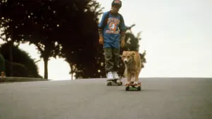 Задник к фильму "Бинго" #461196