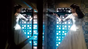 Задник к фильму "Злодейка" #256909