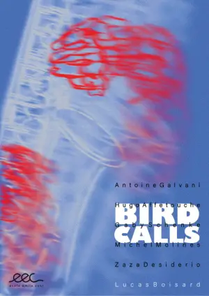 Постер к фильму "Bird Calls"