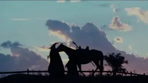 Задник к фильму "Властелин колец: Братство кольца" #503282