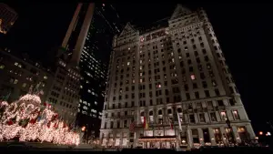 Задник к фильму "Один дома 2: Затерянный в Нью-Йорке" #567413