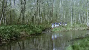 Задник к фильму "Шесть шведок с бензоколонки" #407944