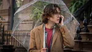 Задник к фильму "Дождливый день в Нью-Йорке" #371889