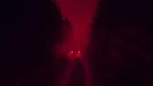 Задник к фильму "Мэнди" #812359