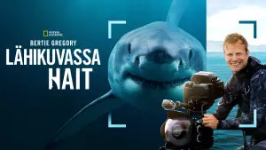 Задник к фильму "Лицом к лицу с акулами с Берти Грегори" #793009