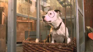 Задник к фильму "Маленькие негодяи спасают положение" #391418