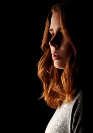 Постер к фильму "Женщина в окне" #307819