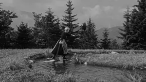 Задник к фильму "Звуки музыки" #599599