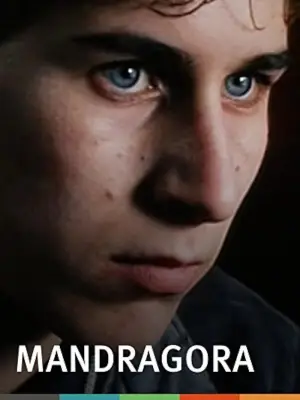 Постер к фильму "Мандрагора" #945725