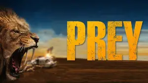 Задник к фильму "" #660557