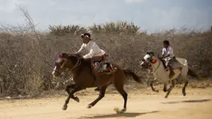 Задник к фильму "Перелётные птицы" #469421