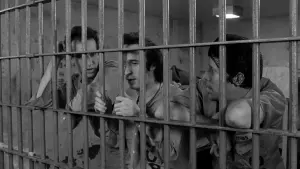 Задник к фильму "Вне закона" #221581