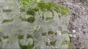 Задник к фильму "" #418379