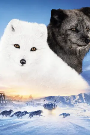 Постер к фильму "Кина и Юк: Пушистые приключения" #476374