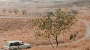 Задник к фильму "Вкус вишни" #203823