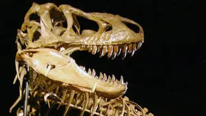 Задник к фильму "" #454062