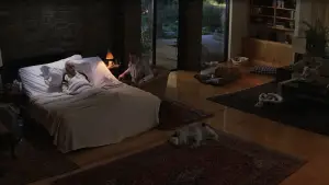 Задник к фильму "Магнолия" #670144