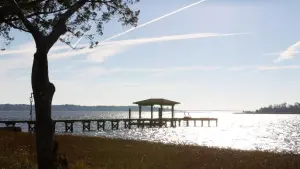 Задник к фильму "Дневник памяти" #183769