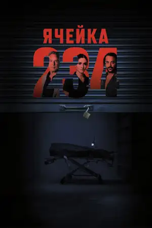 Ячейка 234