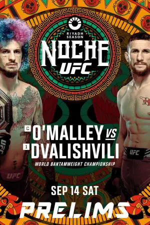 Постер к фильму "UFC 306: O
