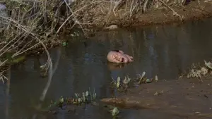 Задник к фильму "" #437864