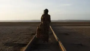 Задник к фильму "Перелётные птицы" #469392