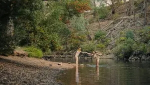 Задник к фильму "" #346131