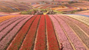 Задник к фильму "Злая: Часть первая" #370391