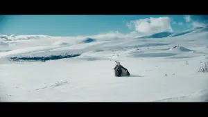 Задник к фильму "Три орешка для Золушки" #329189